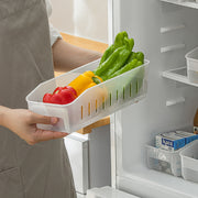 Food Organizer - Small with Dividers